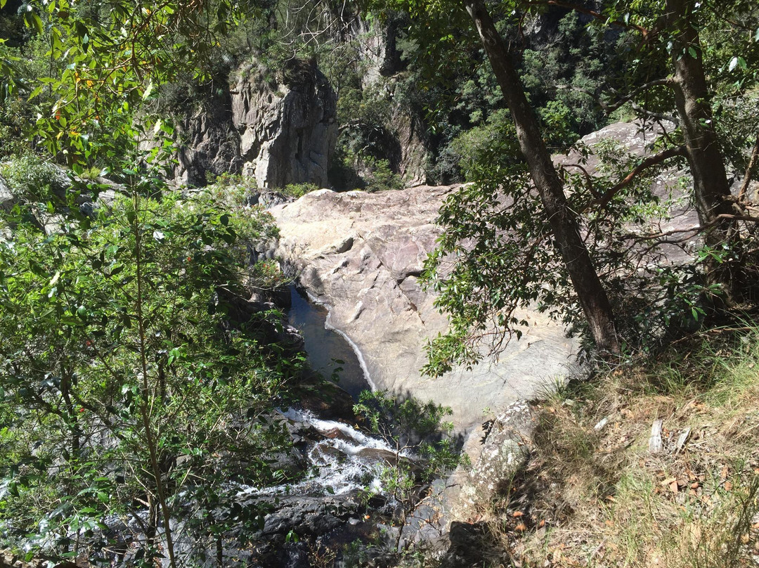 Conondale National Park景点图片