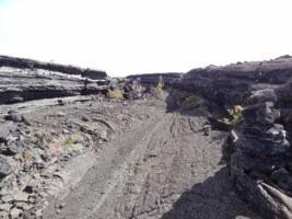 Napau-Makaopuhi Crater Trail景点图片