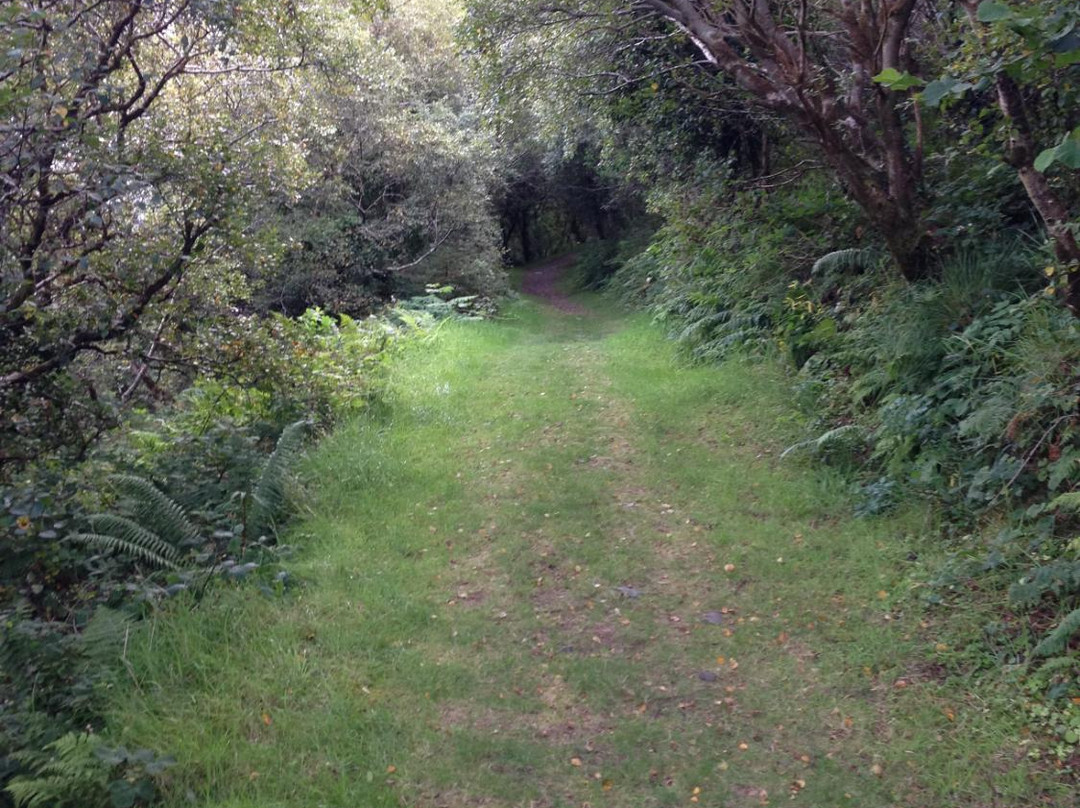 Beenatee Loop Walk-Cahersiveen必去景点