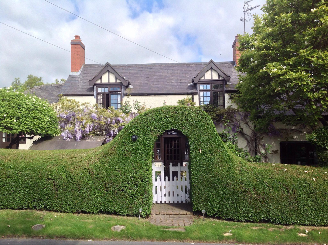 The Cottage Bed & Breakfast主图