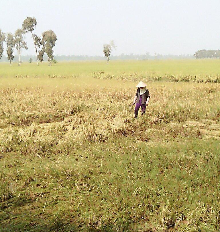Can Duoc Market-Can Duoc必去景点