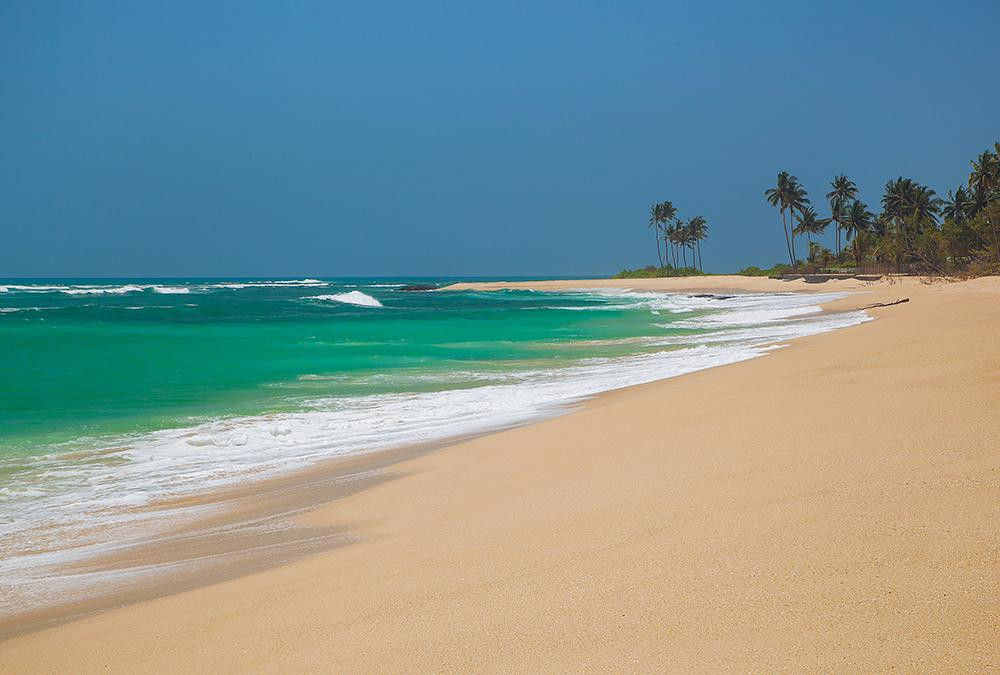 SurfDiscovery Sri Lanka Surf School景点图片
