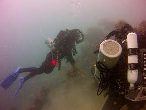 New Zealand Sea Adventures景点图片