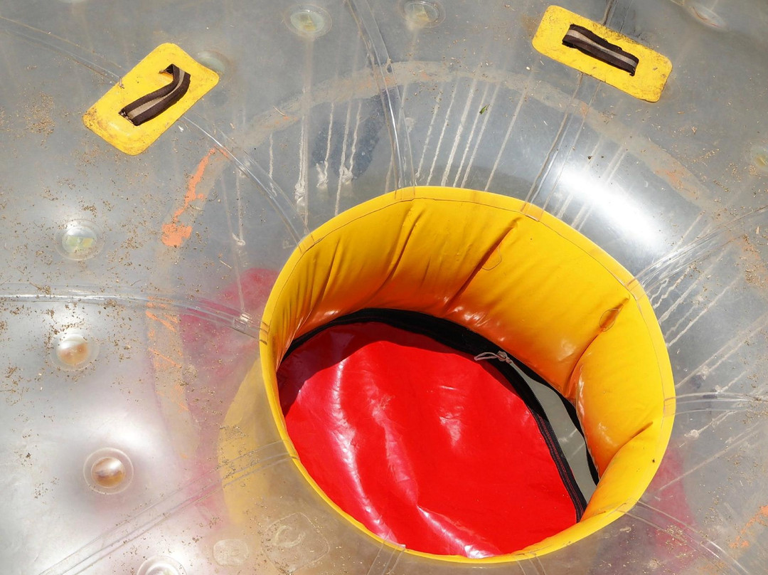 Groovy Balls-Hillcrest必去景点