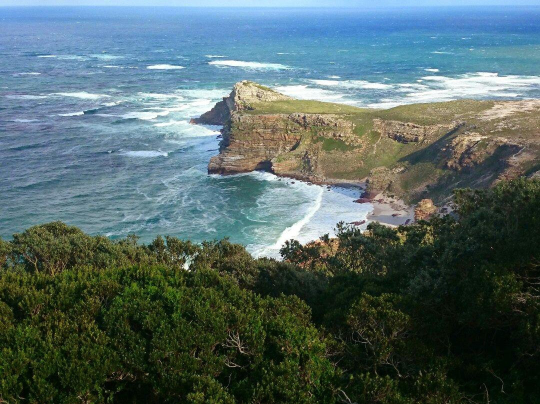Cape of Good Hope-桌山国家公园必去景点