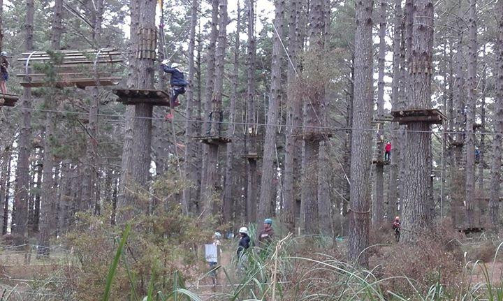 Tree Adventures-伍德山必去景点