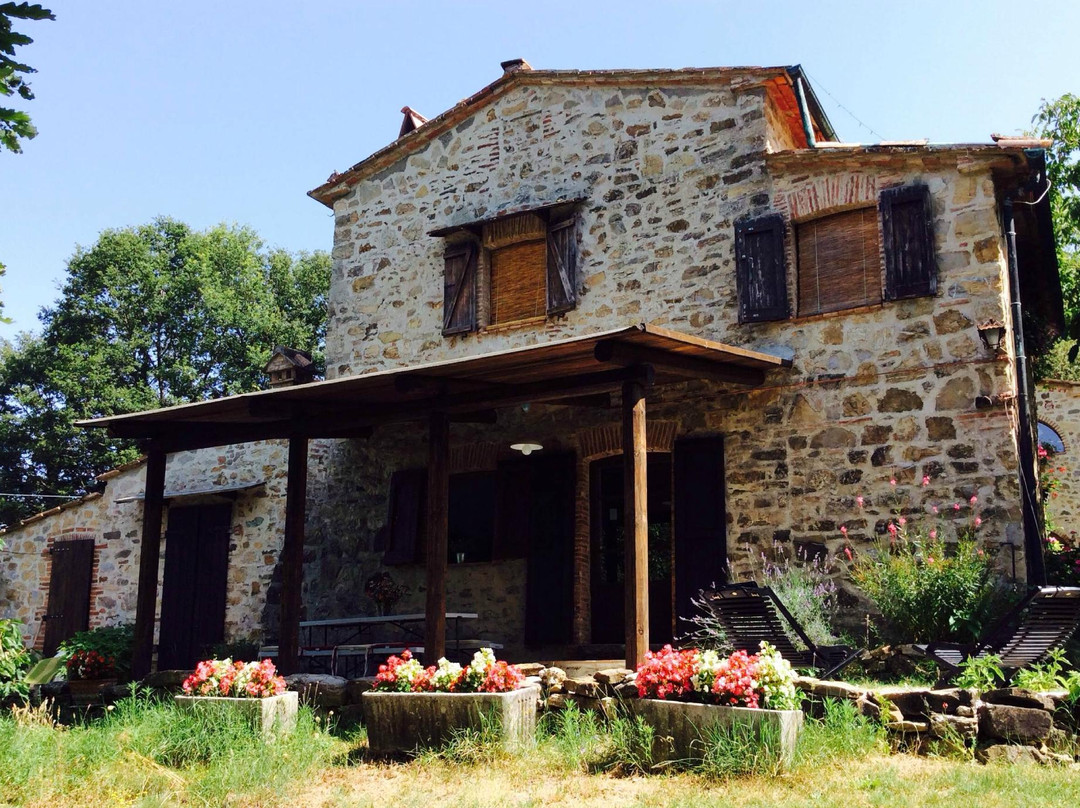 Agriturismo il Collonzolo