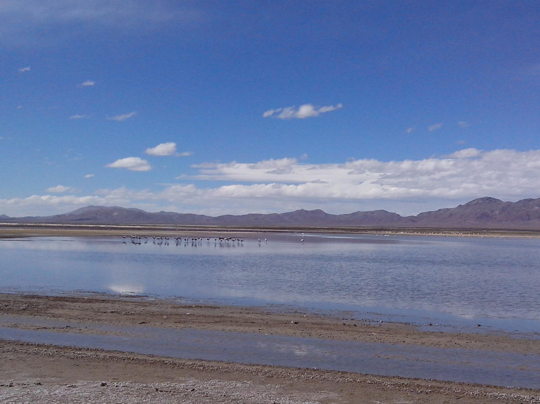 Monumento Natural Laguna de los Pozuelos景点图片