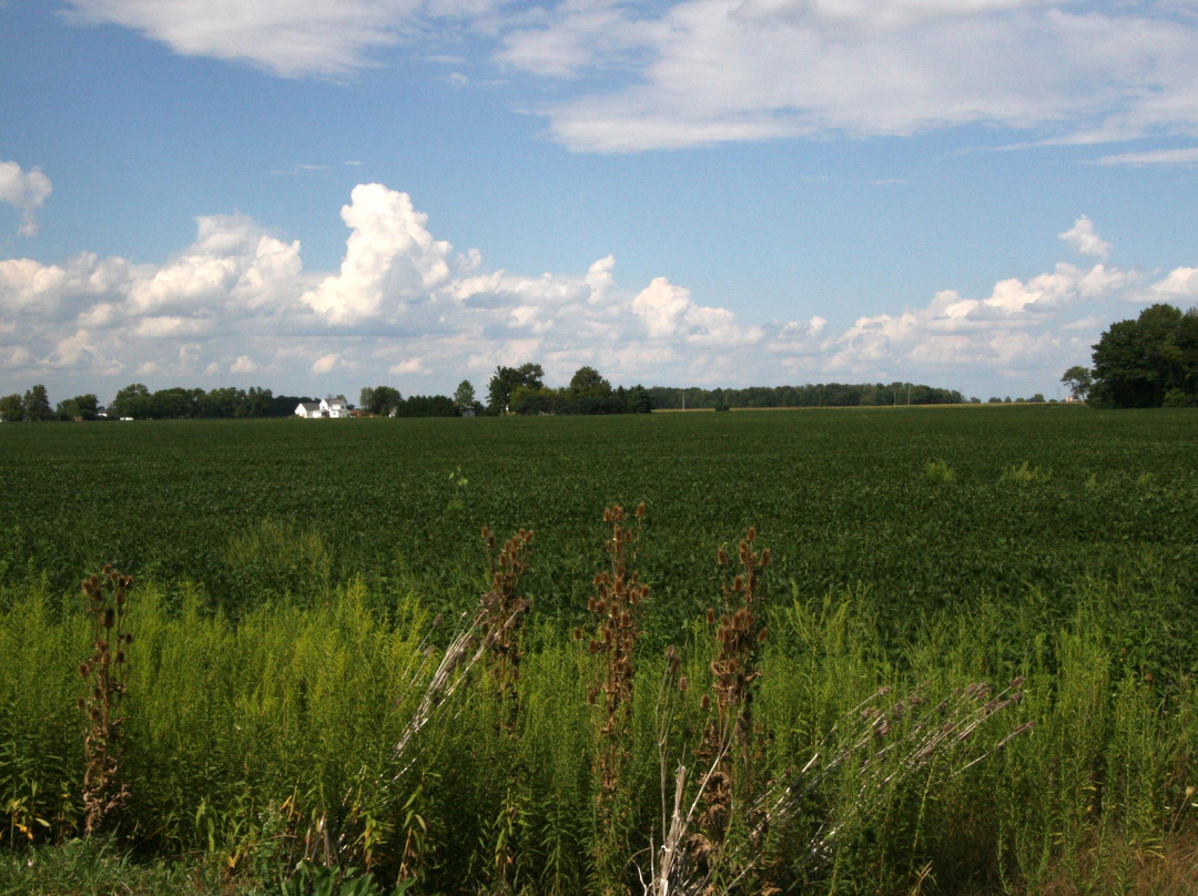 Heritage Trail Metro Park-Hilliard必去景点