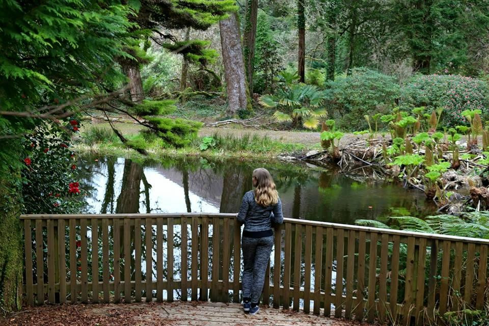 Cahersiveen酒店住宿-Kells Bay House And Gardens