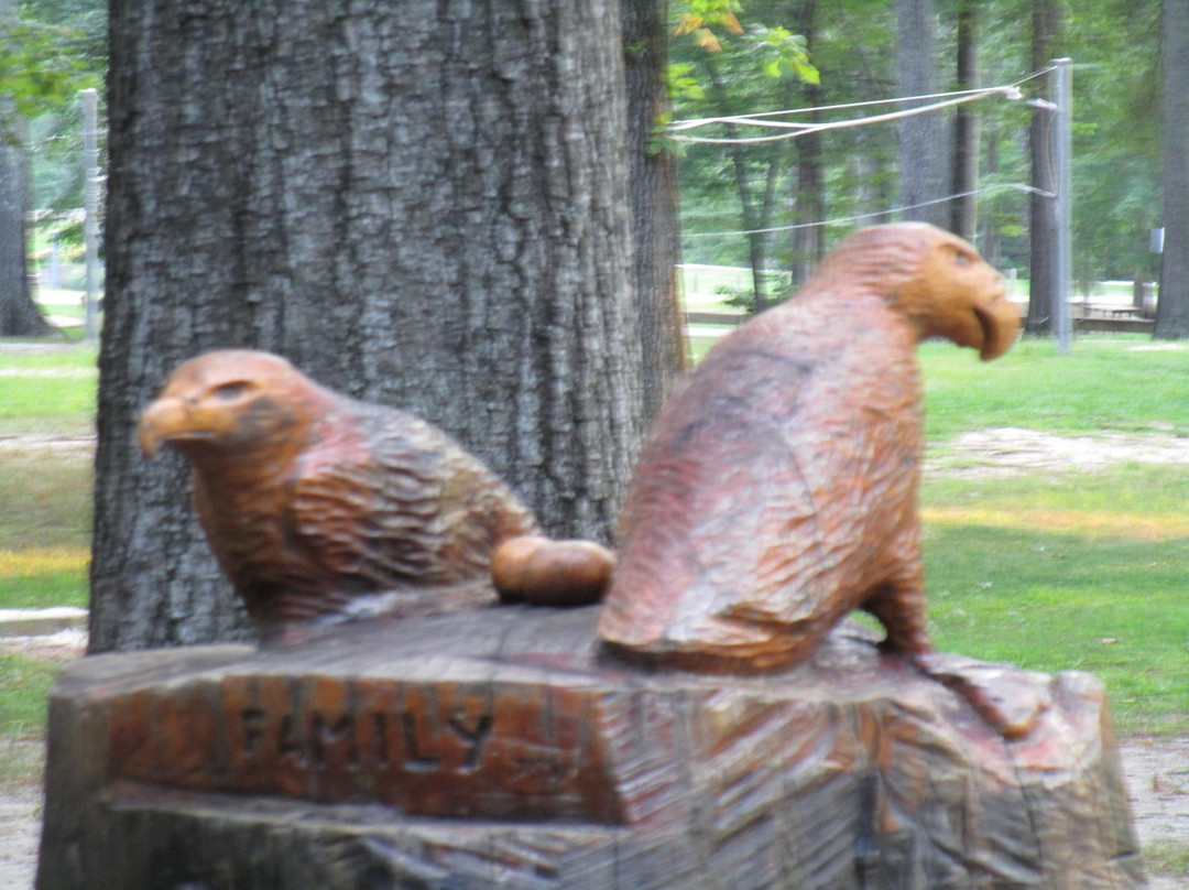 Robious Landing Park景点图片