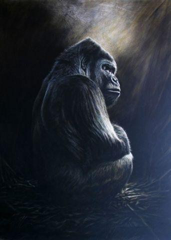 Steve Morvell Wildlife Art-贺思盖必去景点