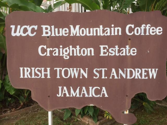 Blue Mountain Experience-内格里尔必去景点