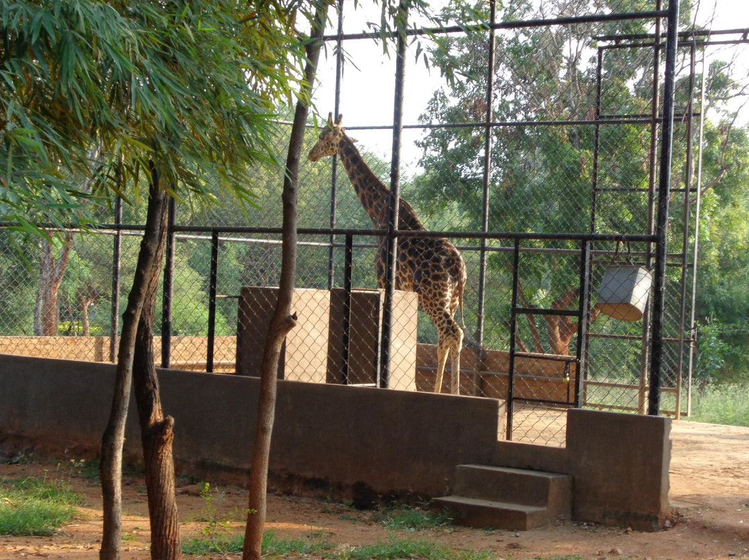 Sri Venkateswara National Park景点图片