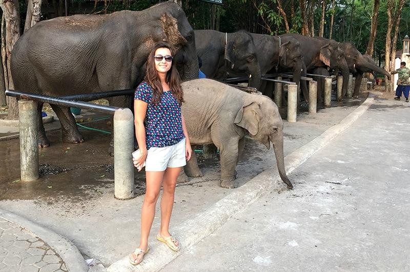 Sappraiwan Elephants Sanctuary景点图片