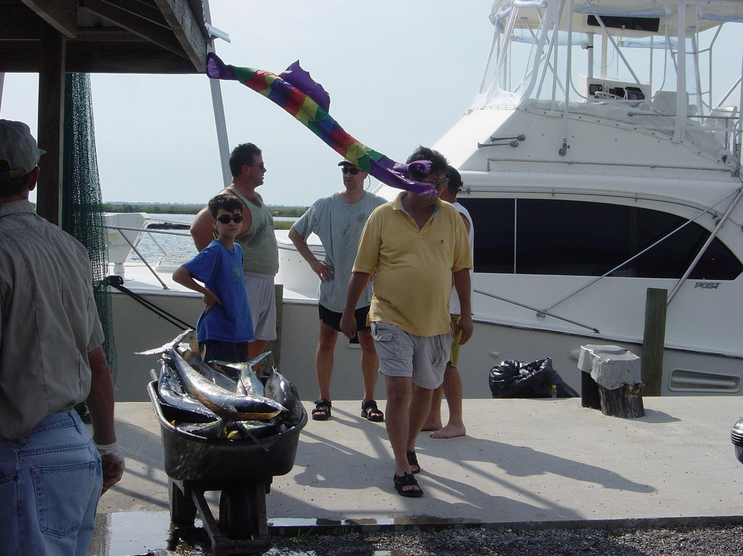 Terrebonne Parish-霍马必去景点