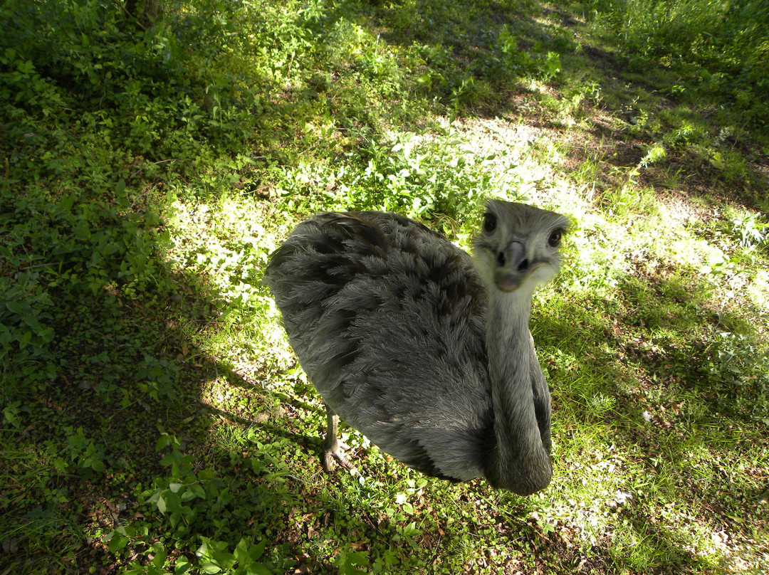 Indigena - Area Protegida de Flora y Fauna-Maldonado必去景点