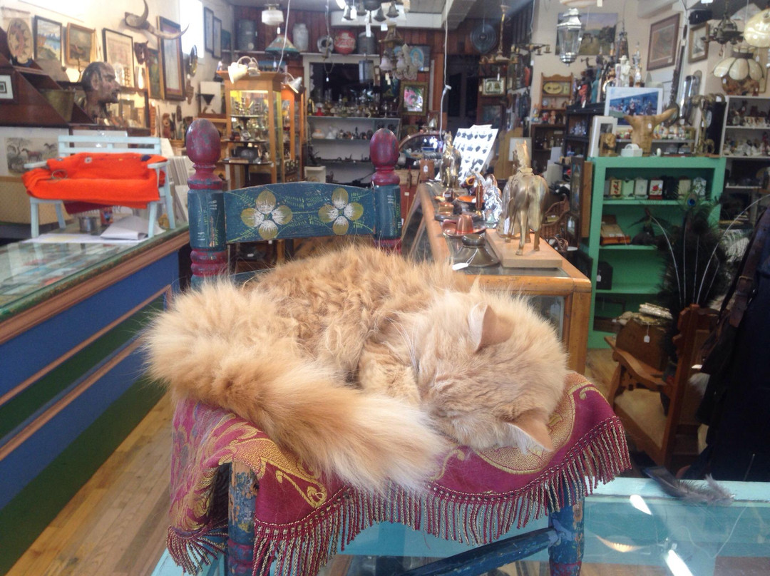 Plaza Antiques景点图片