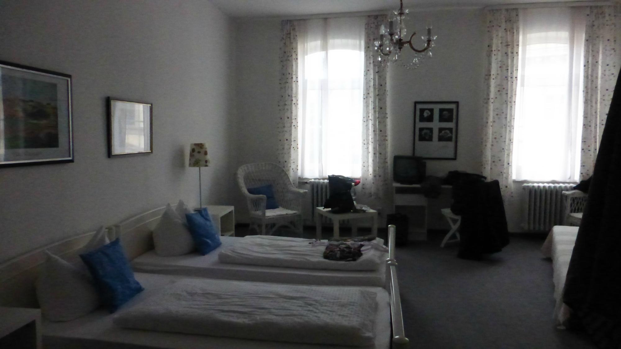 Hotel Frankfurter Hof-客卧