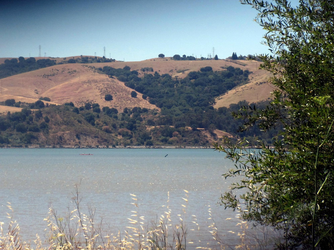 Benicia State Recreation Area-贝尼西亚必去景点