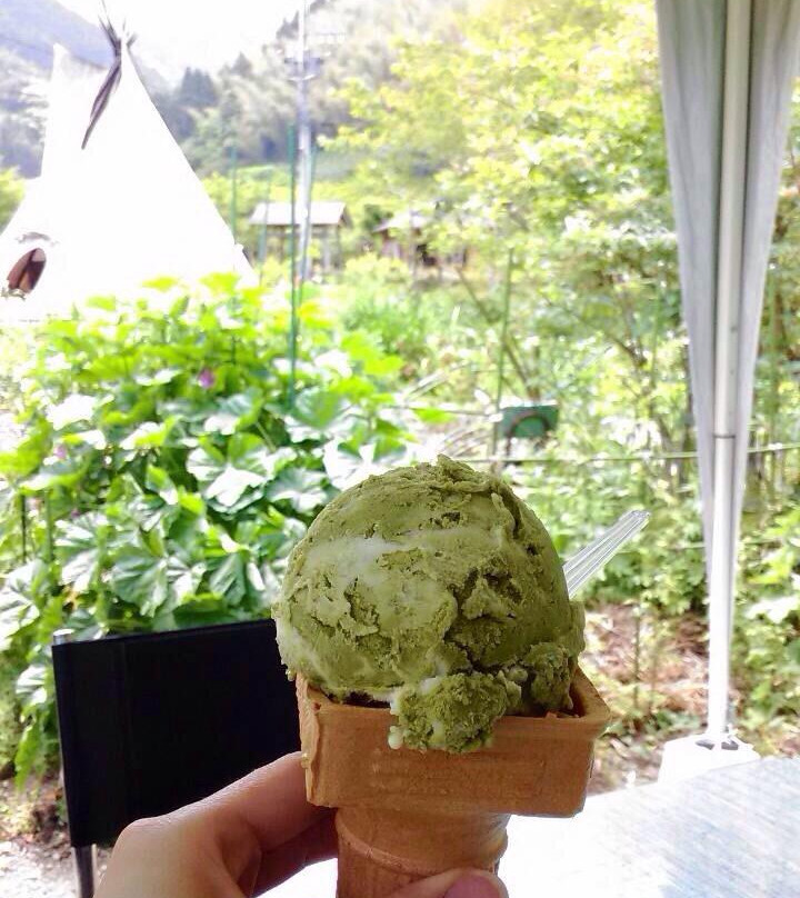 Shimizu Forest Park Yasuragino Mori-静冈市必去景点