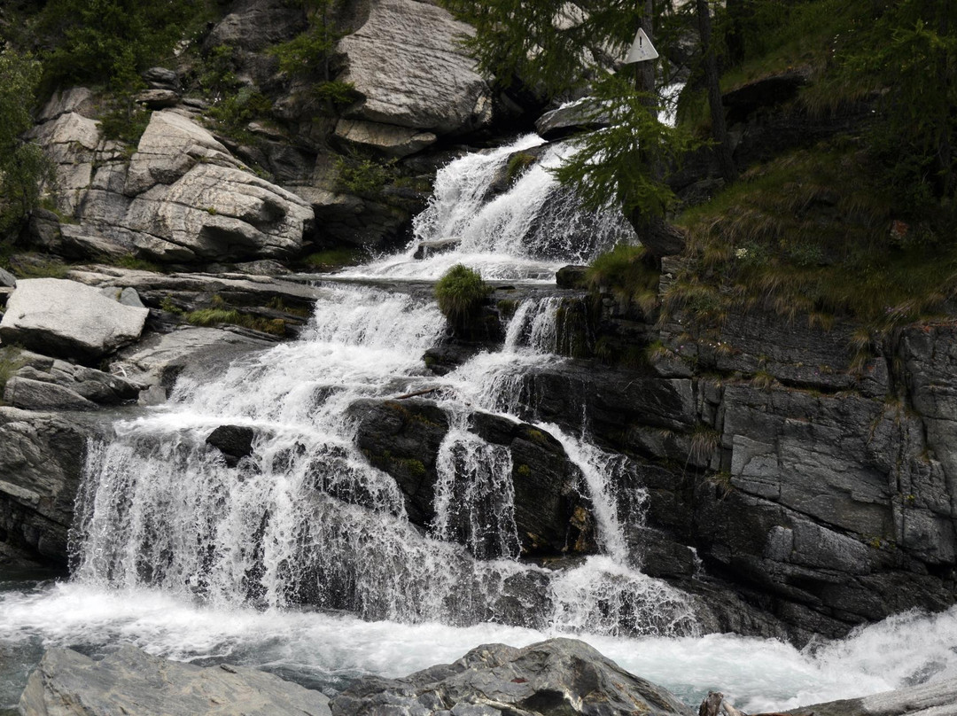 Guide Turistiche di Aosta e Cogne景点图片