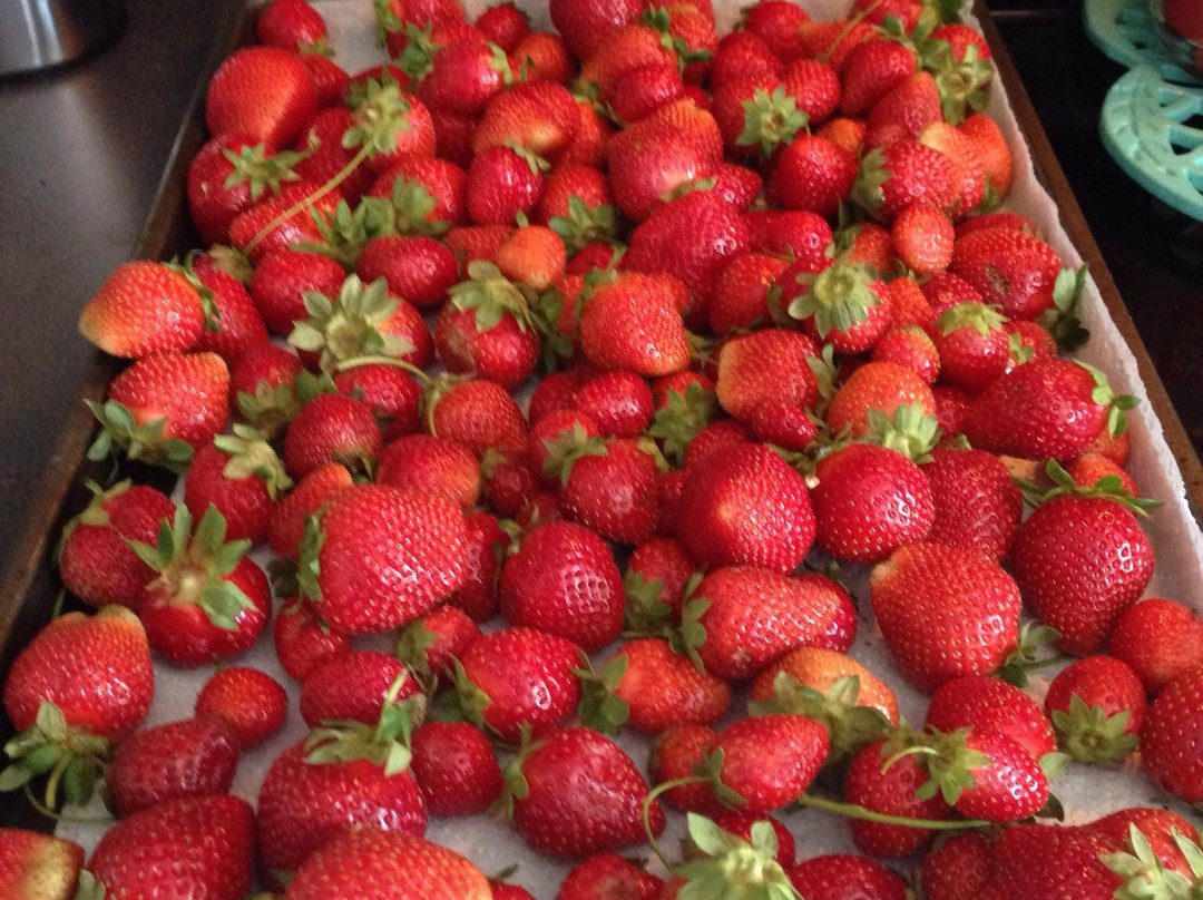 Batey Farms-默弗里斯伯勒必去景点