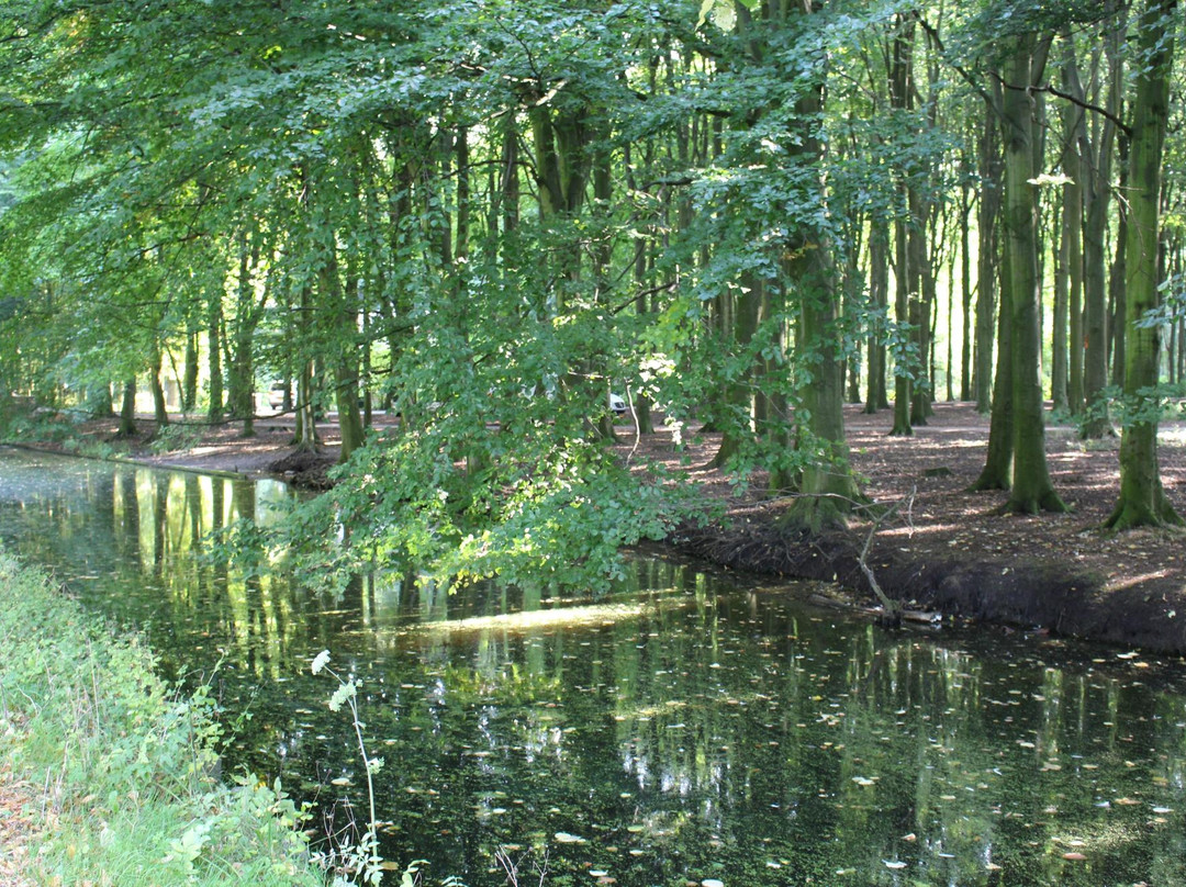 Von Fisennepark景点图片