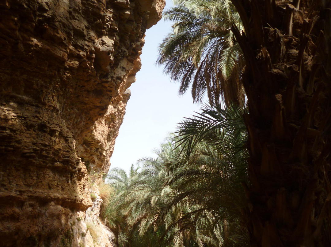 Terjit Oasis-Atar必去景点