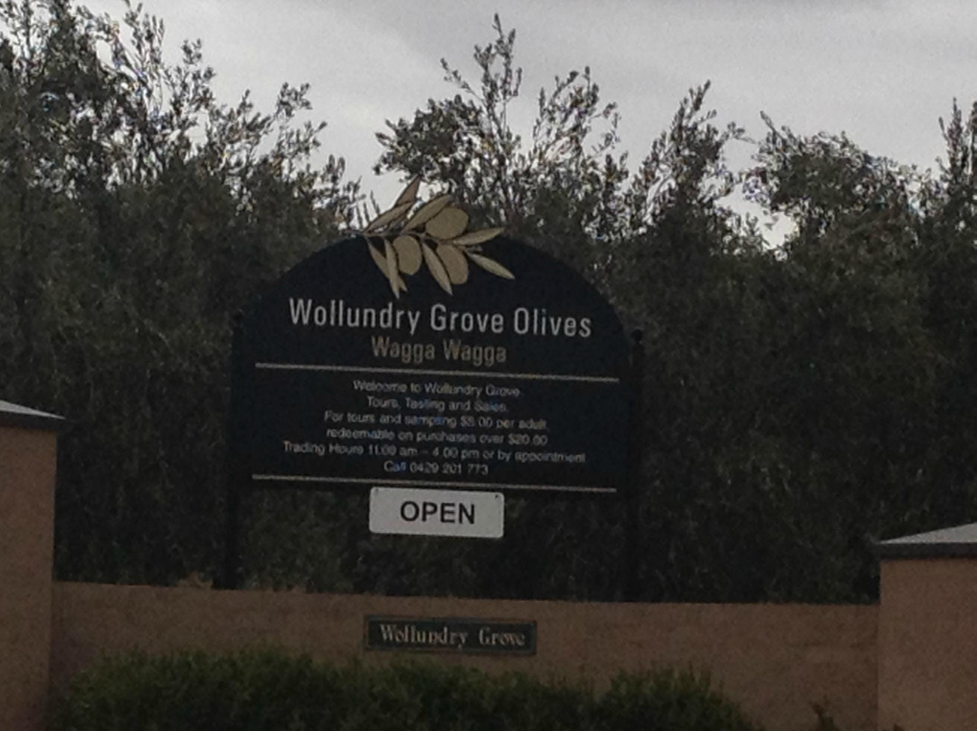 Wollundry Grove Olives景点图片