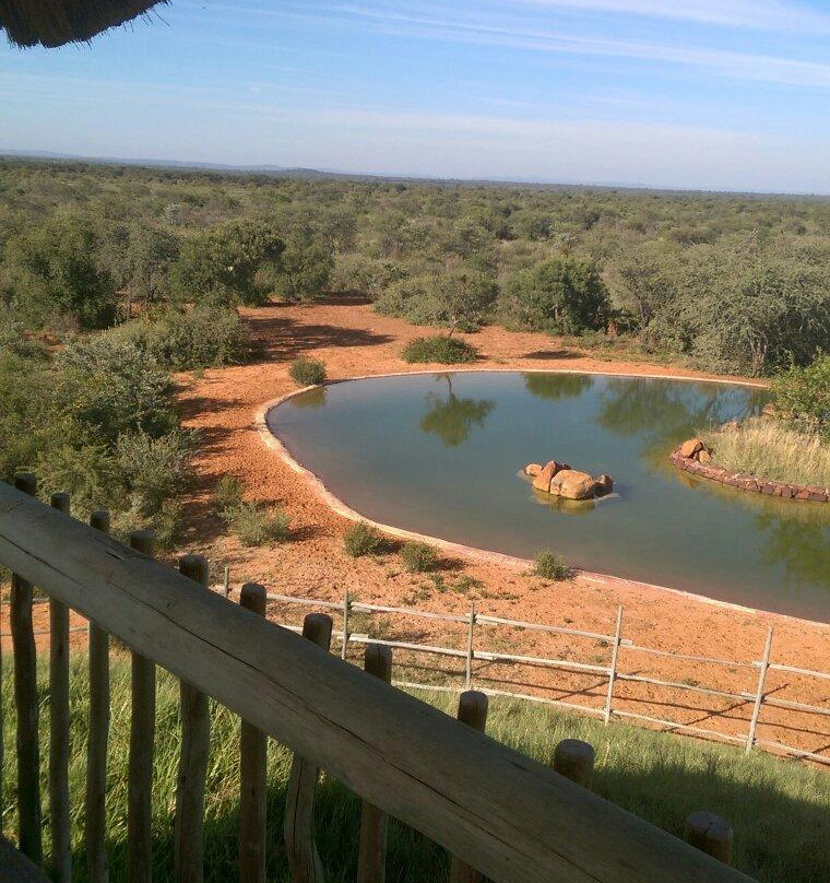 Temba Safari