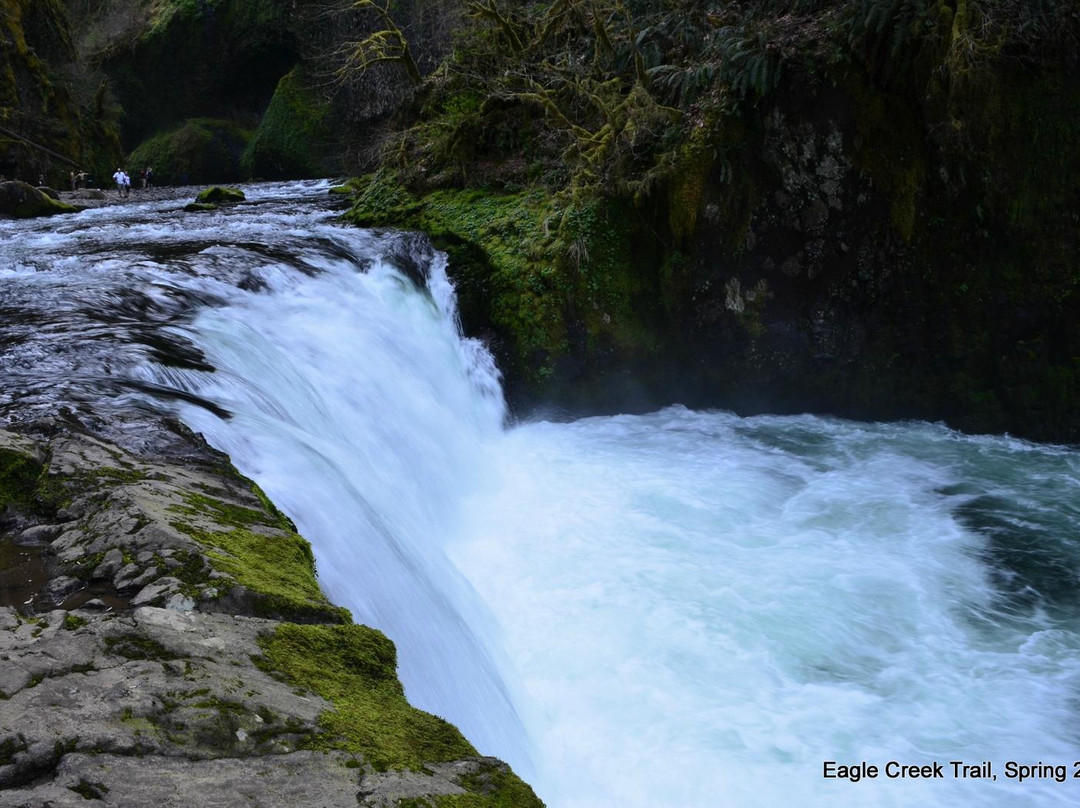 Eagle Creek Trail-Cascade Locks必去景点