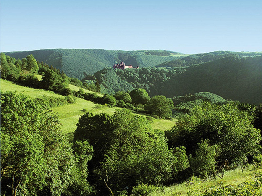 Bourscheid酒店住宿-Hotel Saint Fiacre