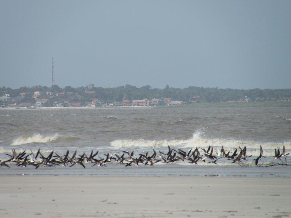 Vila do Algodoal Beach-Algodoal必去景点