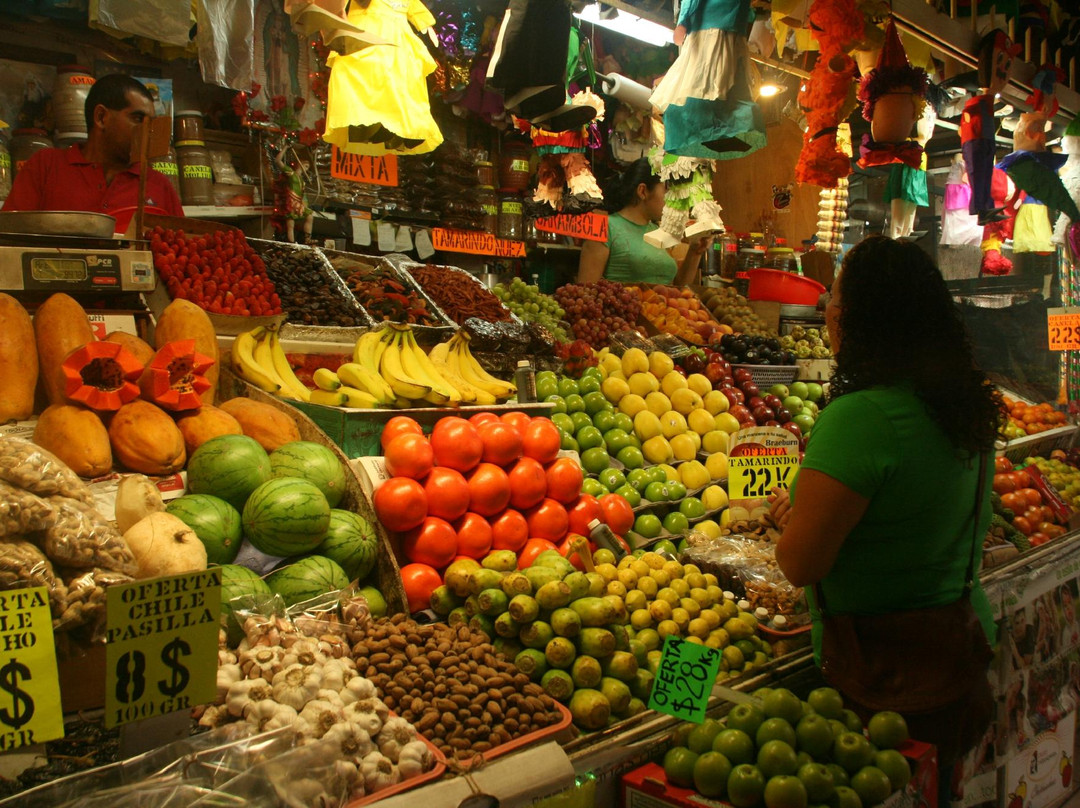 Mexican Food Tours-Tlaquepaque必去景点