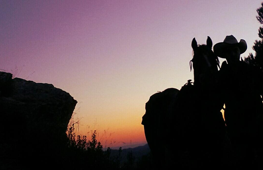 Cabalgando Hacia lo Salvaje-巴塞罗那必去景点