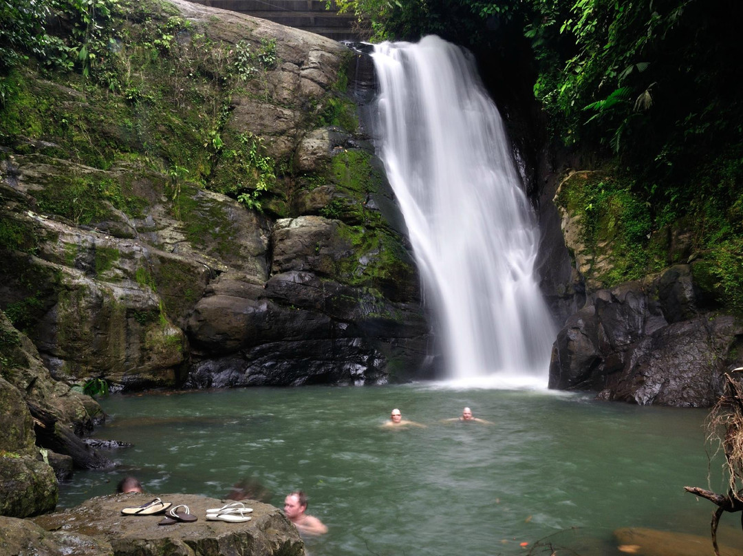 Cahuita Tours景点图片