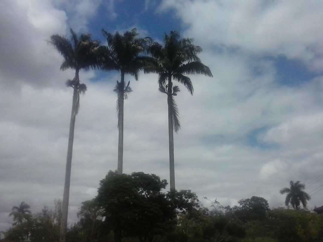 Templo Budista Hongwanji de Registro-Registro必去景点