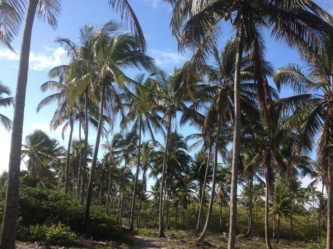 Atalaia Beach-Canavieiras必去景点