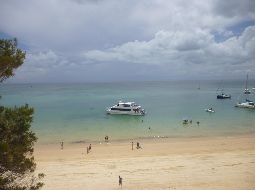 Dolphin Wild Island Cruises景点图片