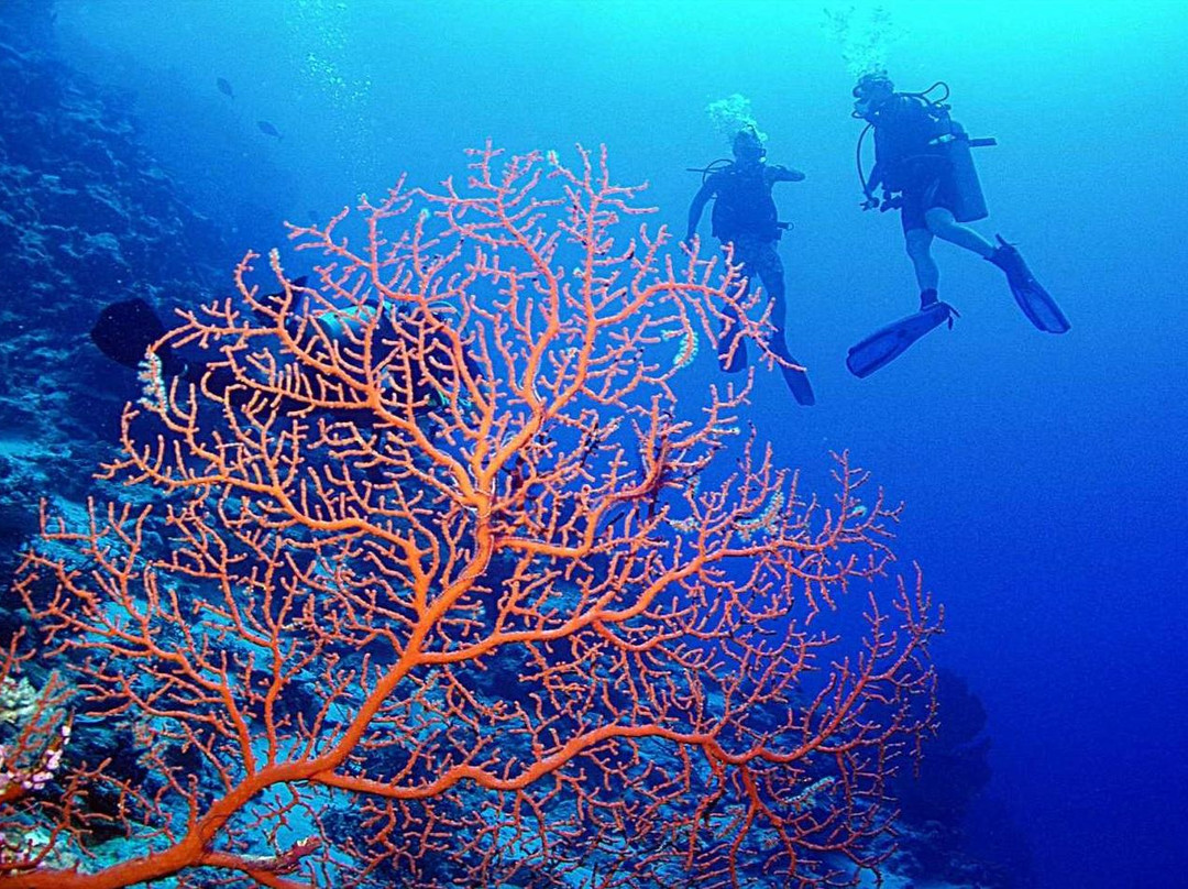 Alcoy Fun Divers-Alcoy必去景点
