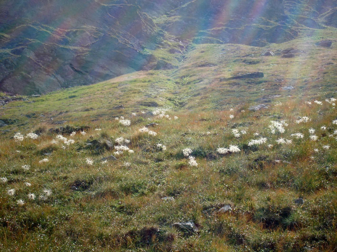 Pietrosul Rodnei Peak-Borsa必去景点