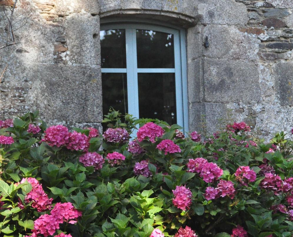 Le Clos St Golven主图