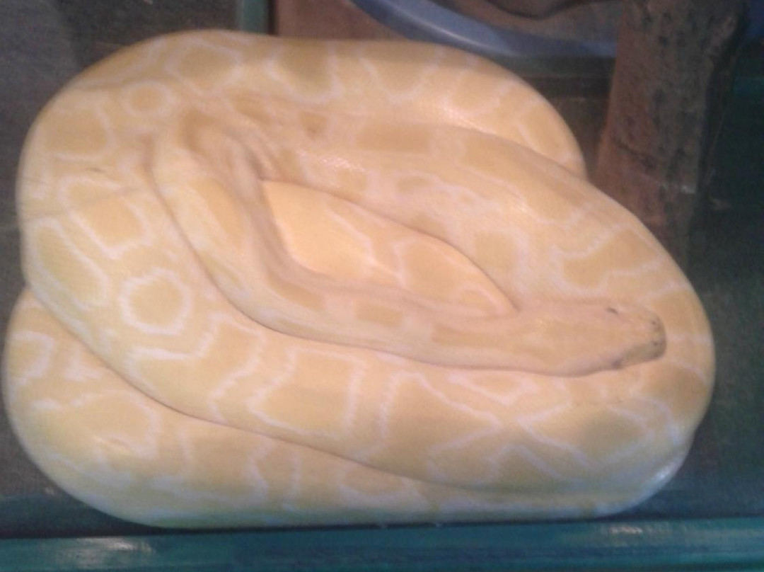 Chita City Zoo-赤塔必去景点