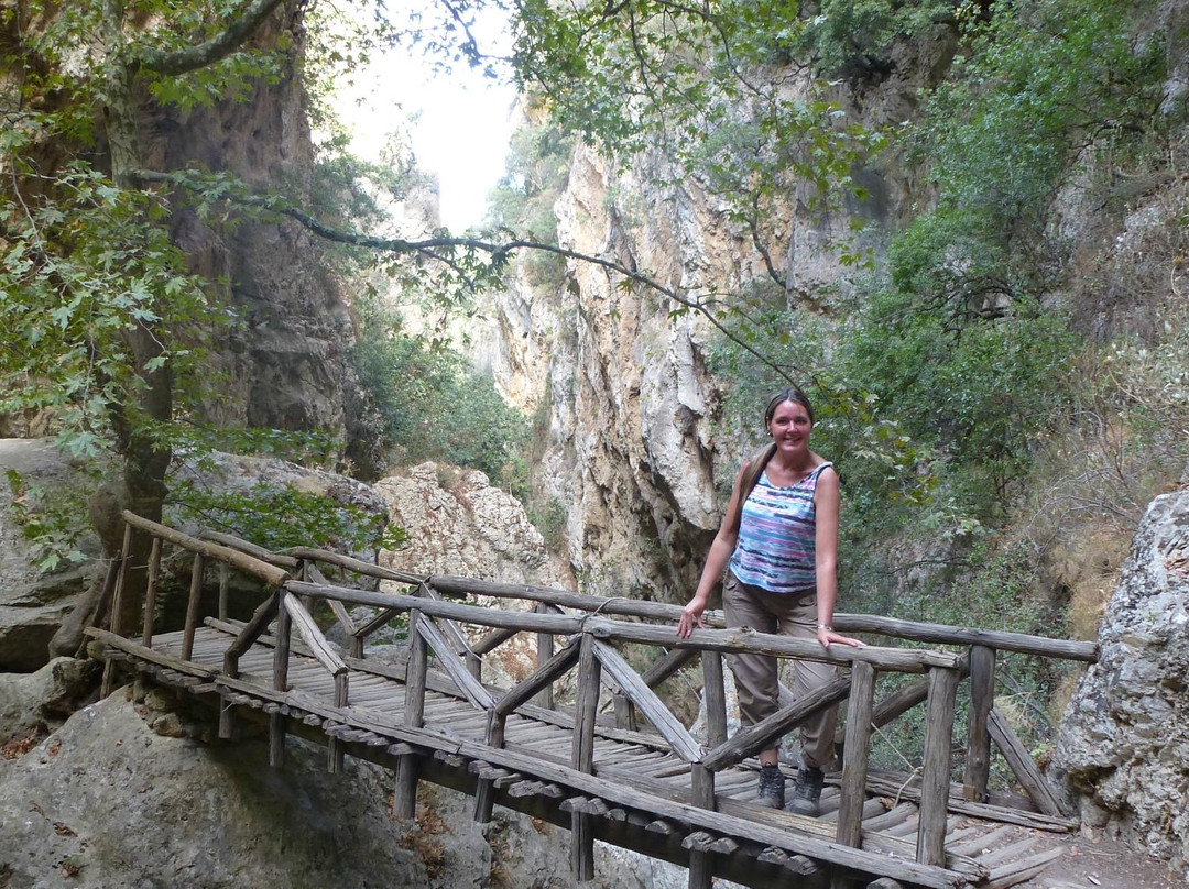 St. Anthony Gorge (Gorge of Patsos)-Patsos必去景点