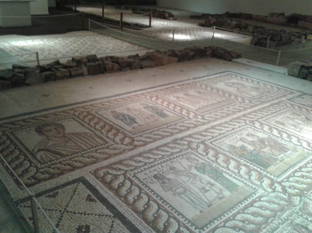 Mouseío Fysikís Istorías Aigaíou-Samos必去景点