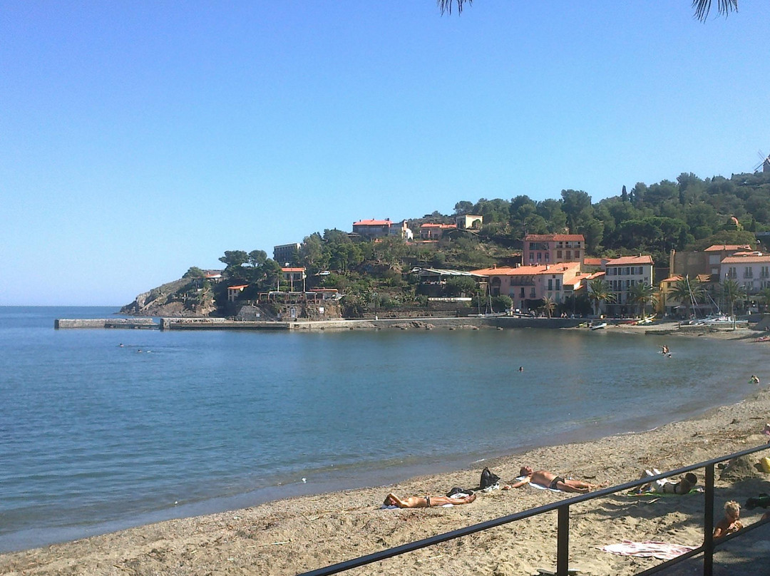 Plage de Collioure景点图片