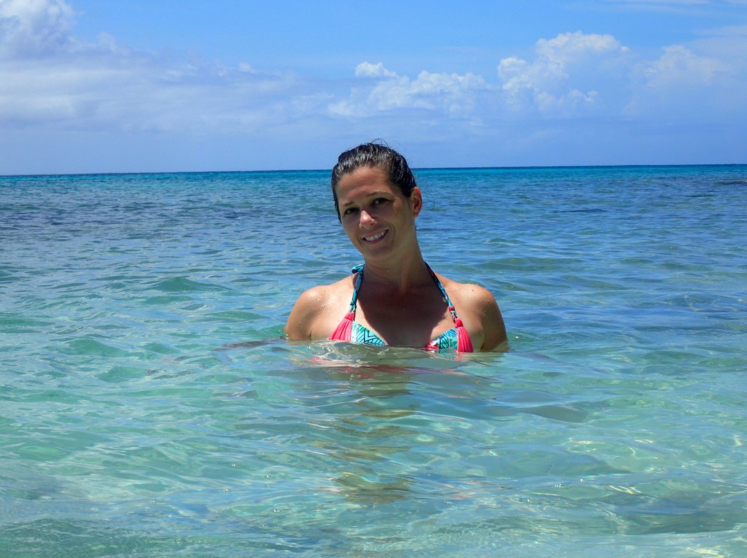 The Juggling Fish-棕榈/鹰海滩必去景点