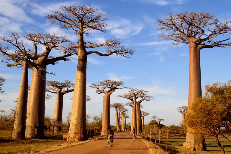 GMT+3 Great Madagascar Tours - Day Tours景点图片