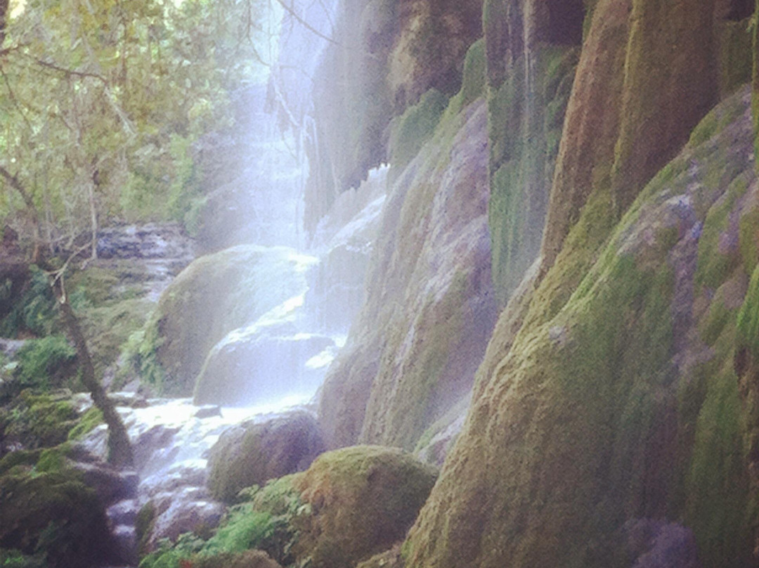 Gorman Falls景点图片